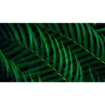 Philips 5000-serie 24B2G5301/00 Zwart - Afbeelding 5