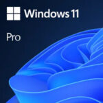 Microsoft Windows 11 Pro 64bit ESD