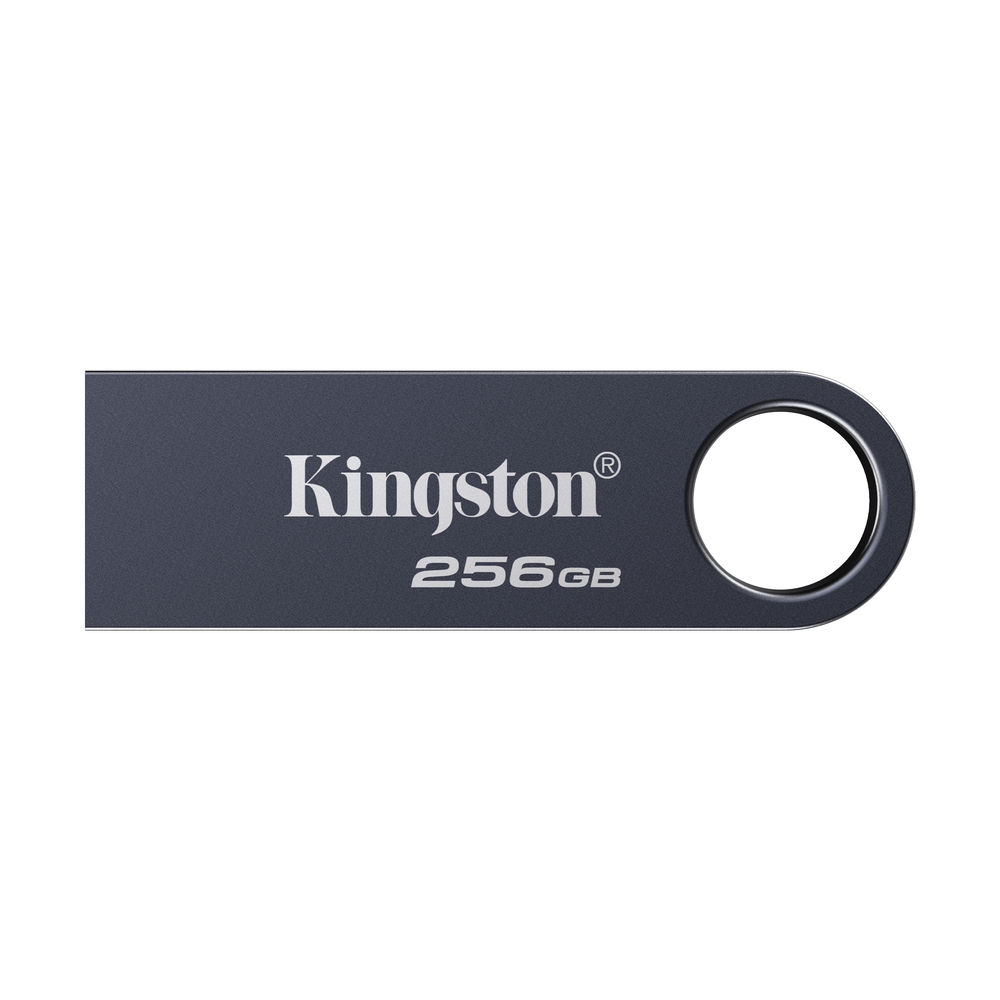 69489_1 Kingston Technology DataTraveler 256GB SE9 G3 - Dark Nickel - Afbeelding 1