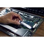 Kingston Technology 1000G NV3 - Afbeelding 3